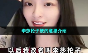 《抖音》李莎抡子梗的意思介绍