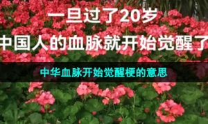 《抖音》20岁中华血脉开始觉醒梗的意思介绍