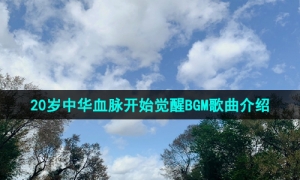 《抖音》20岁中华血脉开始觉醒BGM歌曲介绍