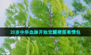 《抖音》20岁中华血脉开始觉醒梗图表情包分享