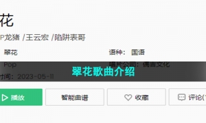 《抖音》翠花歌曲介绍