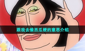 《抖音》我们现在就出发跟我去偷西瓜梗的意思介绍