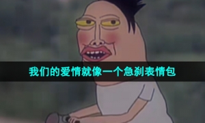 《抖音》我们的爱情就像一个急刹梗图表情包分享