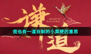 《抖音》我也有一道自制的小菜梗的意思介绍