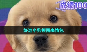 《抖音》好运小狗梗图表情包分享