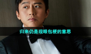 《抖音》归来仍是现眼包梗的意思介绍