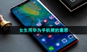 《抖音》女生用华为手机梗的意思介绍