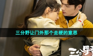 《抖音》三分野让门外那个走梗的意思介绍