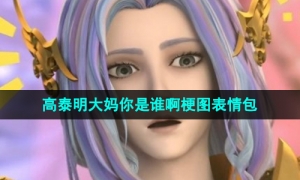 《抖音》高泰明大妈你是谁啊梗图表情包分享