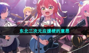 《抖音》东北二次元应援梗的意思介绍