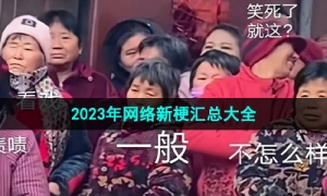 2023年网络新梗汇总大全