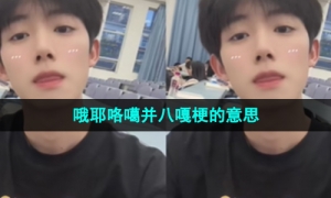 《抖音》哦耶咯噶并八嘎梗的意思介绍