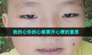 《抖音》我的心你的心都要开心梗的意思介绍