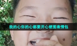 《抖音》我的心你的心都要开心梗图表情包分享