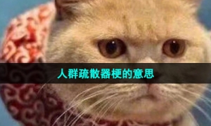 《抖音》人群疏散器梗的意思介绍