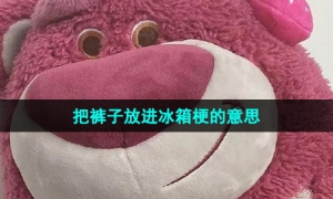 网络用语把裤子放进冰箱梗的意思介绍