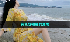 《抖音》黄色战袍梗的意思介绍