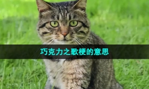 《抖音》巧克力之歌梗的意思介绍