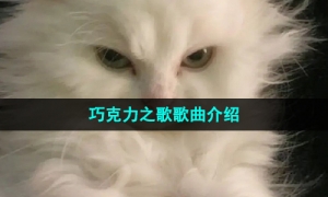 《抖音》巧克力之歌歌曲介绍