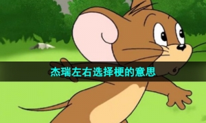 《抖音》杰瑞左右选择梗的意思介绍