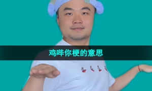 《抖音》鸡哔你梗的意思介绍