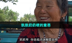 《抖音》凯凯奶奶梗的意思介绍