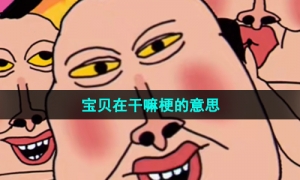 《抖音》宝贝在干嘛梗的意思介绍