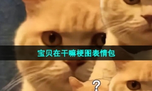 《抖音》宝贝在干嘛梗图表情包分享