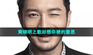 《抖音》黄晓明之歌好想你梗的意思介绍