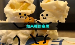 《抖音》如来梗的意思介绍
