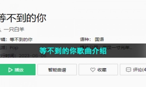 《抖音》等不到的你歌曲介绍