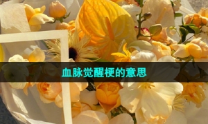 《抖音》血脉觉醒梗的意思介绍