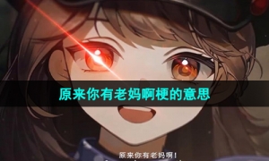 网络用语原来你有老妈啊梗的意思介绍