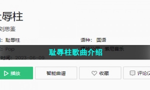 《抖音》耻辱柱歌曲介绍