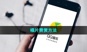 《QQ音乐》唱片赞赏方法