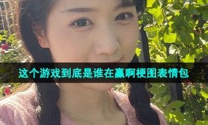 《抖音》这个游戏到底是谁在赢啊梗图表情包