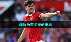 《抖音》爆改马奎尔梗的意思介绍