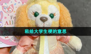 《抖音》租给大学生梗的意思介绍