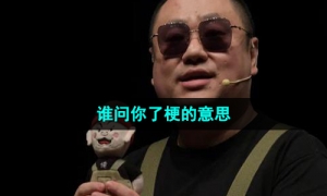 《抖音》谁问你了梗的意思介绍