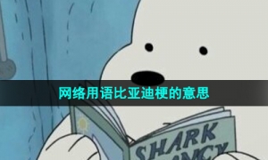 网络用语比亚迪梗的意思介绍