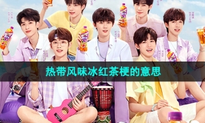 《抖音》热带风味冰红茶梗的意思介绍