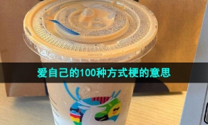 《抖音》爱自己的100种方式梗的意思介绍