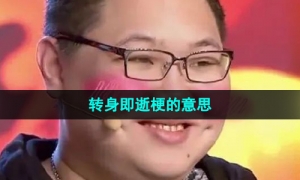 《抖音》转身即逝梗的意思介绍