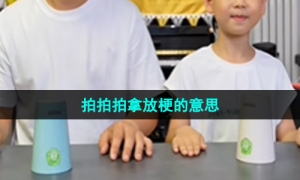 《抖音》拍拍拍拿放梗的意思介绍