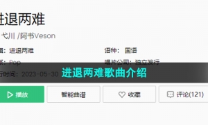 《抖音》进退两难歌曲介绍