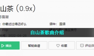 《抖音》白山茶歌曲介绍