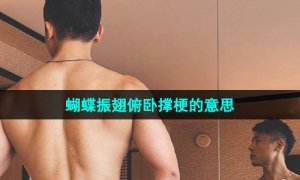 《抖音》蝴蝶振翅俯卧撑梗的意思介绍