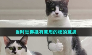 《抖音》当时觉得挺有意思的梗的意思介绍