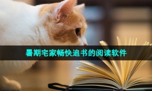 暑期宅家畅快追书的阅读软件推荐