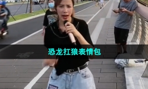 《抖音》恐龙扛狼梗图表情包分享